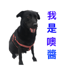 噢醬