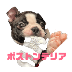 Moco_20190220174645