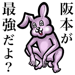 Pink bunny sticker! Sakamoto Hanmoto