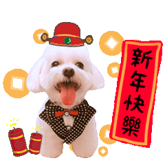 可愛小乖動態版