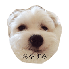Rie_20190219023754