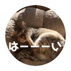 mu_20190221145734