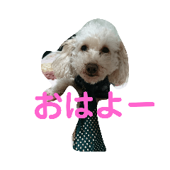 hiroki_20190219195712