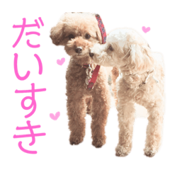 cocorunnokimochi