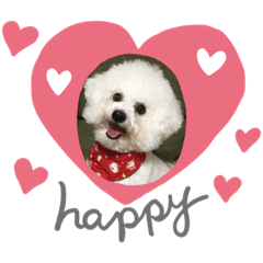 akiko_20190222064235