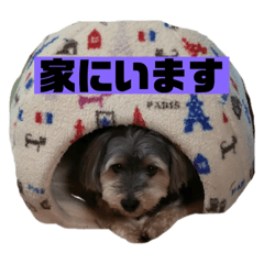 eiko_20190221203523