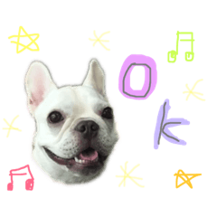 frenchbulldog kinako stamp