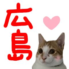 Yozo cat hiroshima sticker