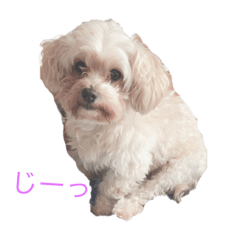 natsumi_20190222154041