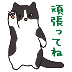 ハチワレ猫の使いやすいかわいいスタンプ Line スタンプ Line Store ハチワレ猫の使いやすいかわいいスタンプ Line スタンプ Line Store