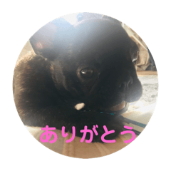 Aoi_20190222130732