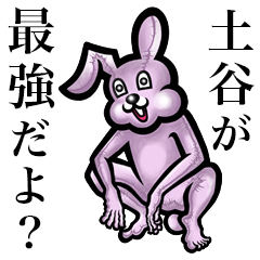 Pink bunny sticker! Tuchiya Tuchitani