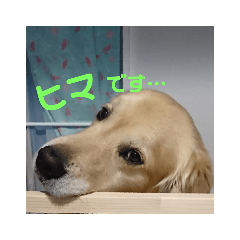 satomin_20190222082102