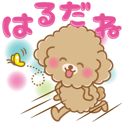 Fluffy Toypoo Fluffy Spring Sticker