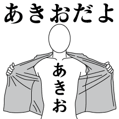AKIO REVOLUTION 2