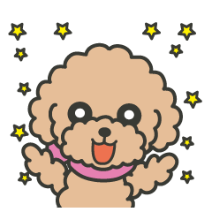 Various Toy Poodle