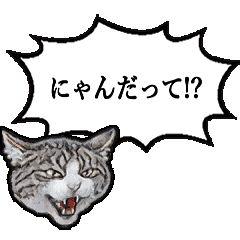 Sticker of talking cat