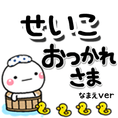 無難な【せいこ】専用のしろまるデカ文字