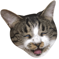 Funny face cat "KOTETSU"Sticker