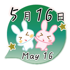 Rabbit May 16