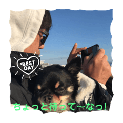 ruby_20190218002407