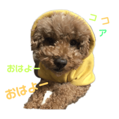 nonta_20190217200804