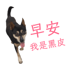 我是黑皮！天天Happy！