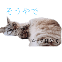 kazumi_20190220084448