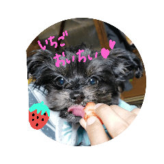 ayano_20190219231108