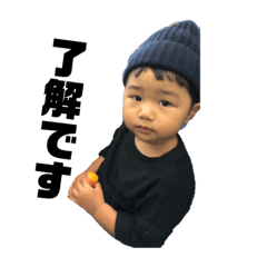 hide_20190222191228