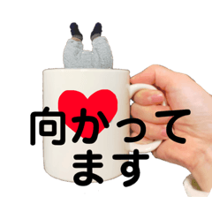 suzu_20190222212936