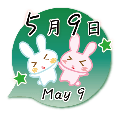 Rabbit May 9