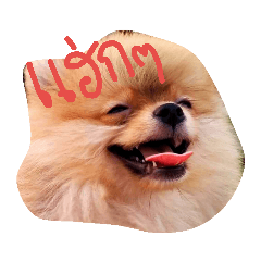 Taro_20190226214730