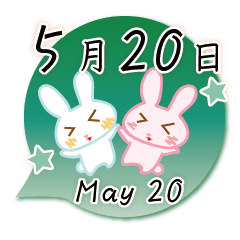 Rabbit May 20