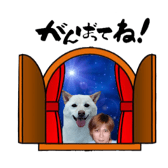 BUBU_20190220142202