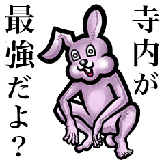 Pink bunny sticker! Terauchi