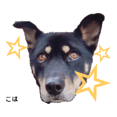 saori_20190222000138