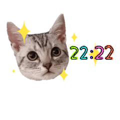 ViVimaru_2019
