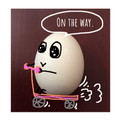 The egg(white)