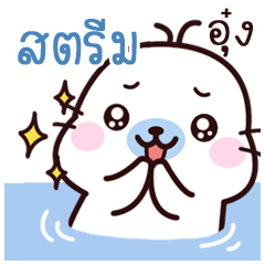 Stream Maewnam Oung Oung