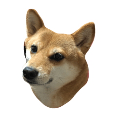 HELLO_20190222231432