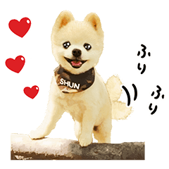 Shunsuke The Dog Line Stickers Line Store