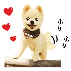 犬の俊介くん Line スタンプ Line Store 犬の俊介くん Line スタンプ Line Store