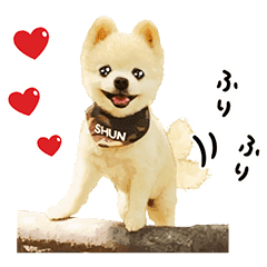 犬の俊介くん Line スタンプ Line Store