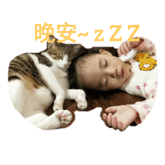 小咪表情貼
