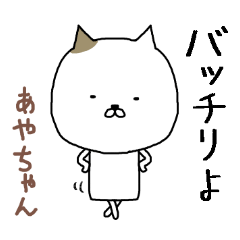 kawaii cat Ayachan