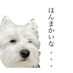 ウエスティのジオくん Line スタンプ Line Store ウエスティのジオくん Line スタンプ Line Store