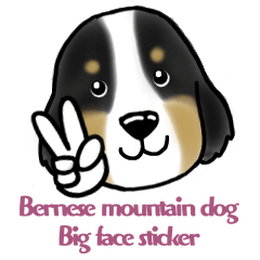 Bernese Mountain Dog Big face Sticker!