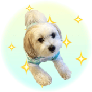 Mix Maruo Sticker