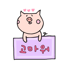 Cute Korean Pig/ Daily
